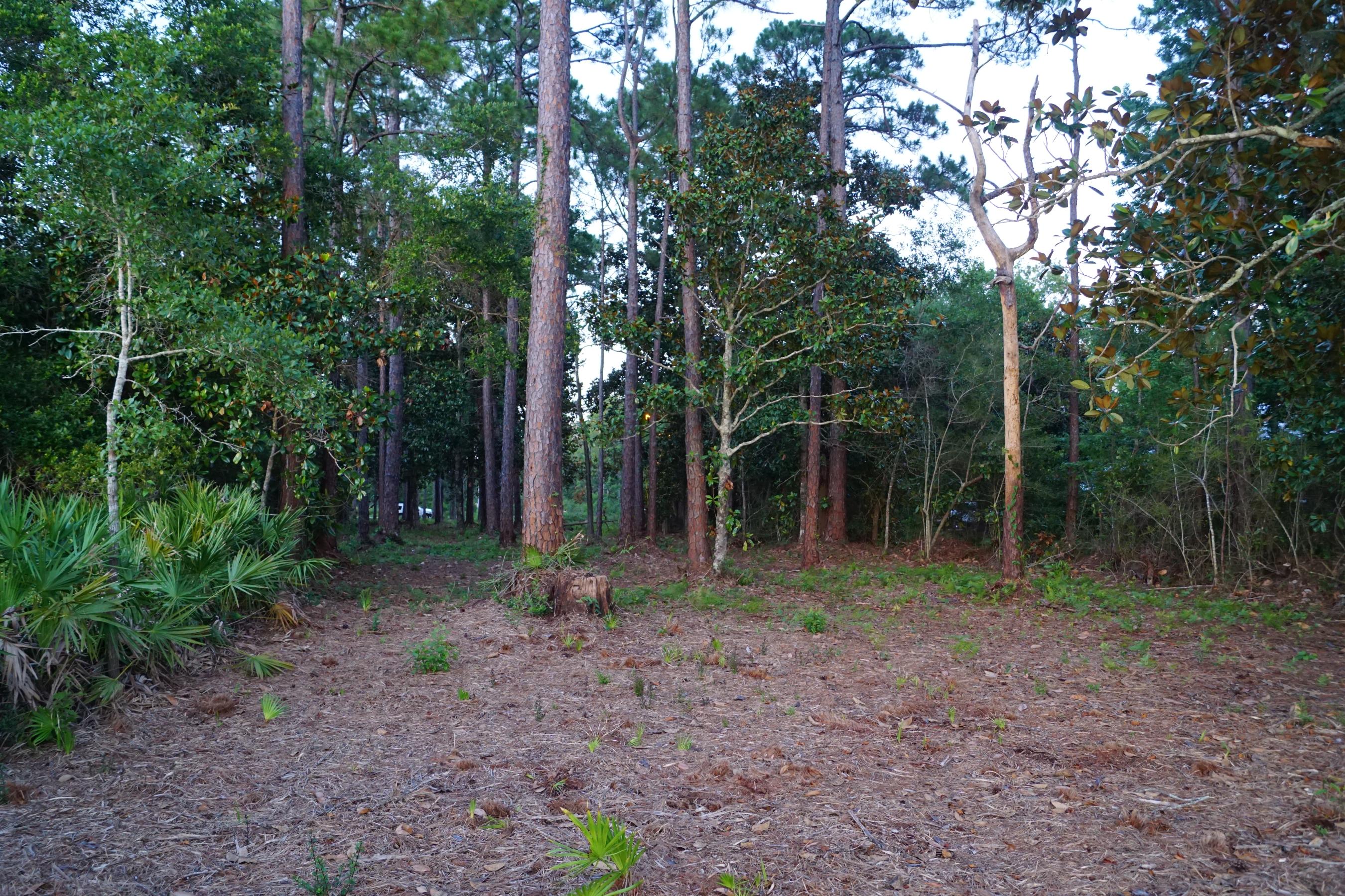 Lot 6 22nd Street Santa Rosa Beach, FL 32459 - Photo 18 of 22 Gallery Image 18