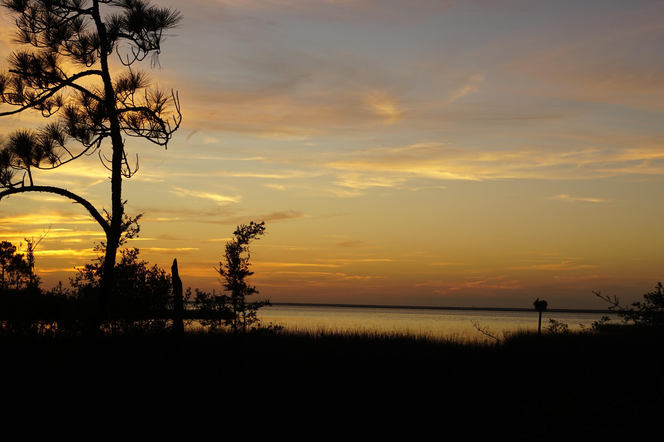 Lot 6 22nd Street Santa Rosa Beach, FL 32459 - Photo 19 of 22 Gallery Image 19