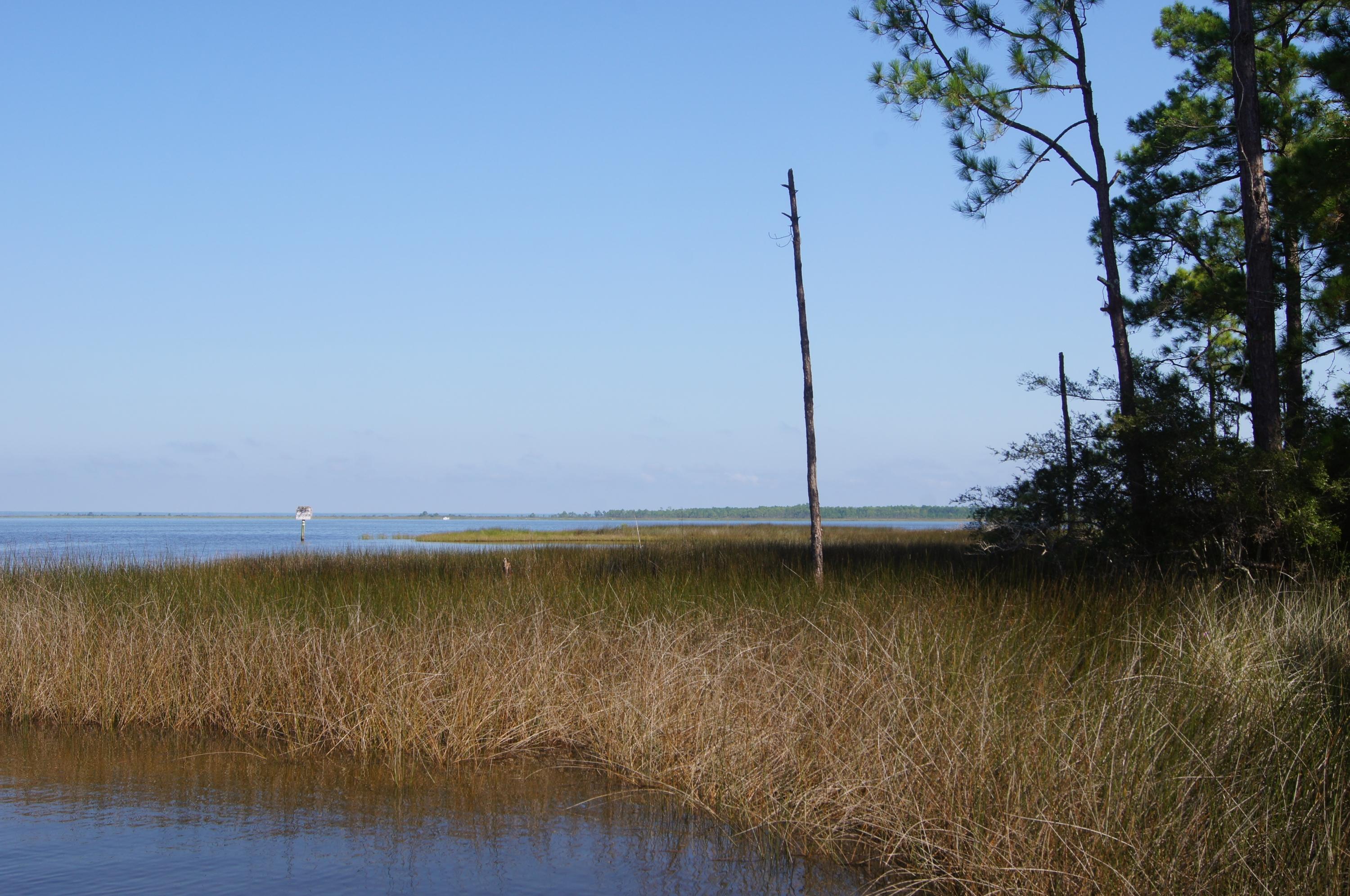 Lot 6 22nd Street Santa Rosa Beach, FL 32459 - Photo 5 of 22 Gallery Image 5