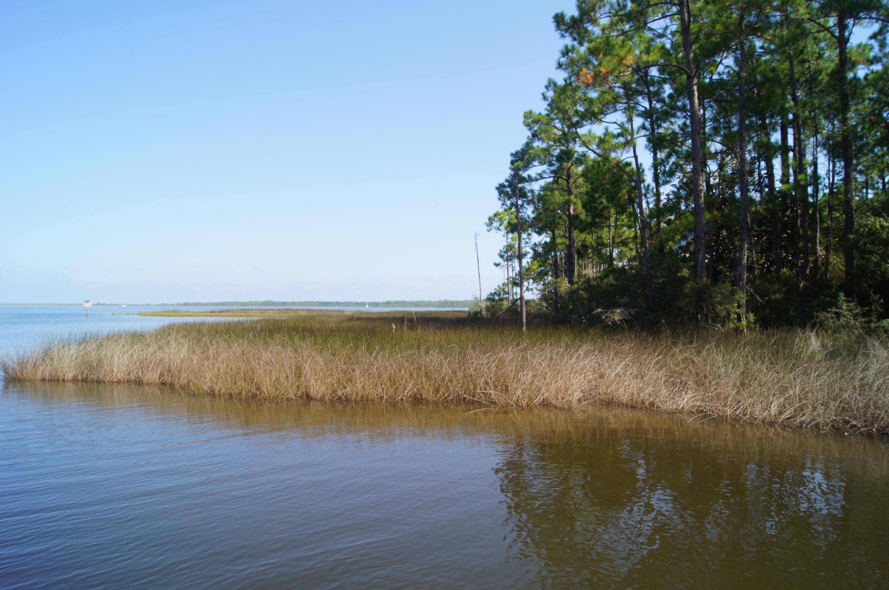 Lot 6 22nd Street Santa Rosa Beach, FL 32459 - Photo 6 of 22 Gallery Image 6
