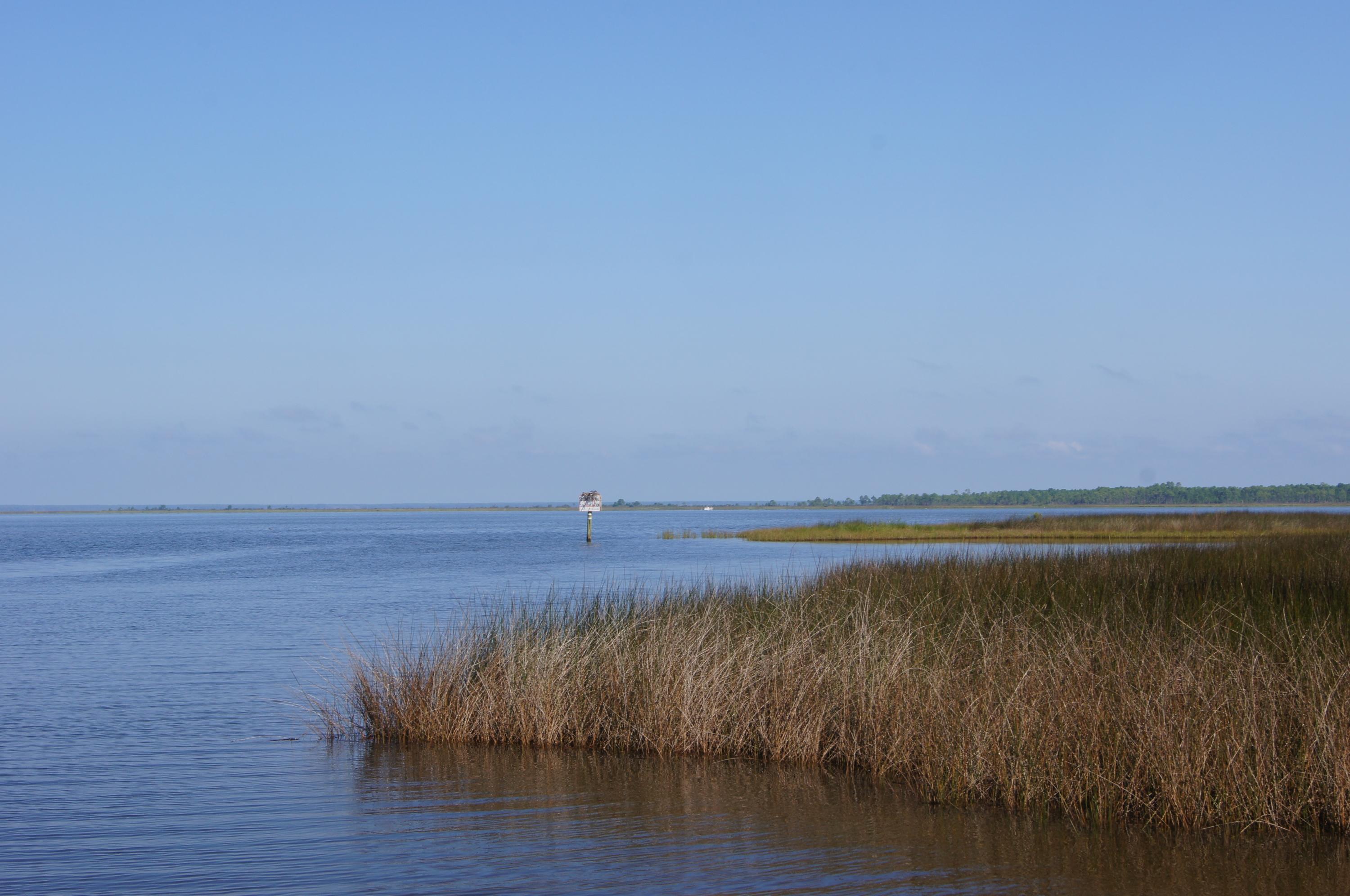 Lot 6 22nd Street Santa Rosa Beach, FL 32459 - Photo 8 of 22 Gallery Image 8
