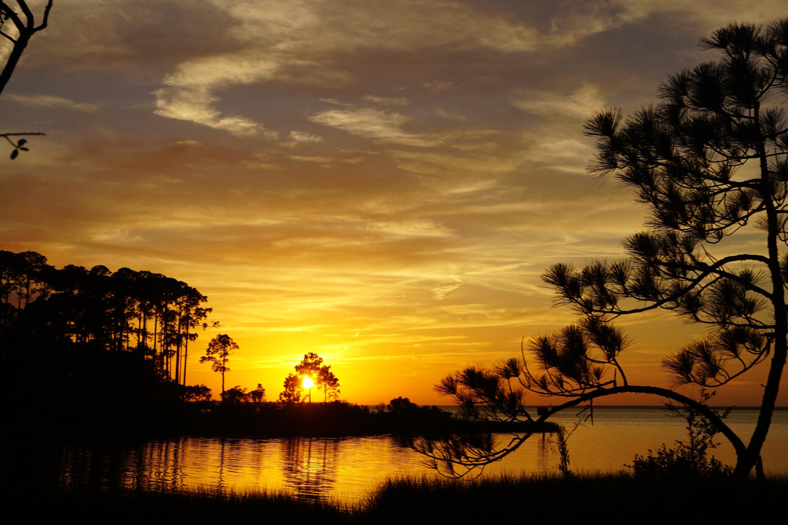 Lot 6 22nd Street Santa Rosa Beach, FL 32459 - Photo 9 of 22 Gallery Image 9