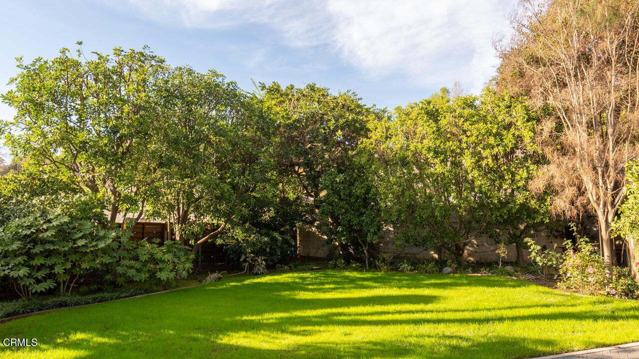 1439 Lida Street Pasadena, CA 91103 - Photo 26 of 39 a view of yard with swimming pool and green space