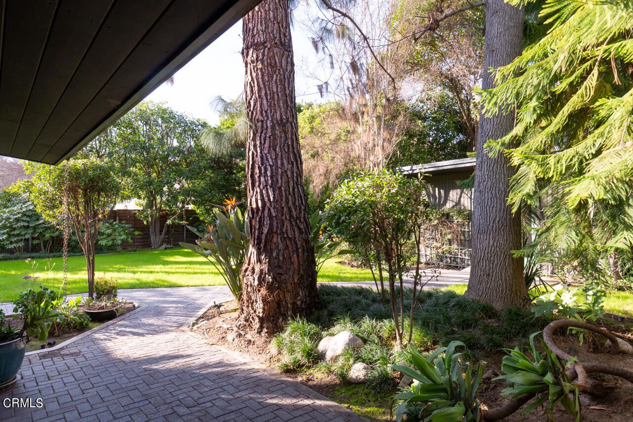 1439 Lida Street Pasadena, CA 91103 - Photo 28 of 39 a view of a backyard with large trees