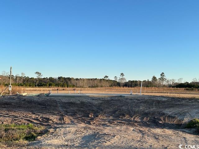 6927 Browns Way Shortcut Road Conway, SC 29527 - Photo 2 of 26 Gallery Image 2