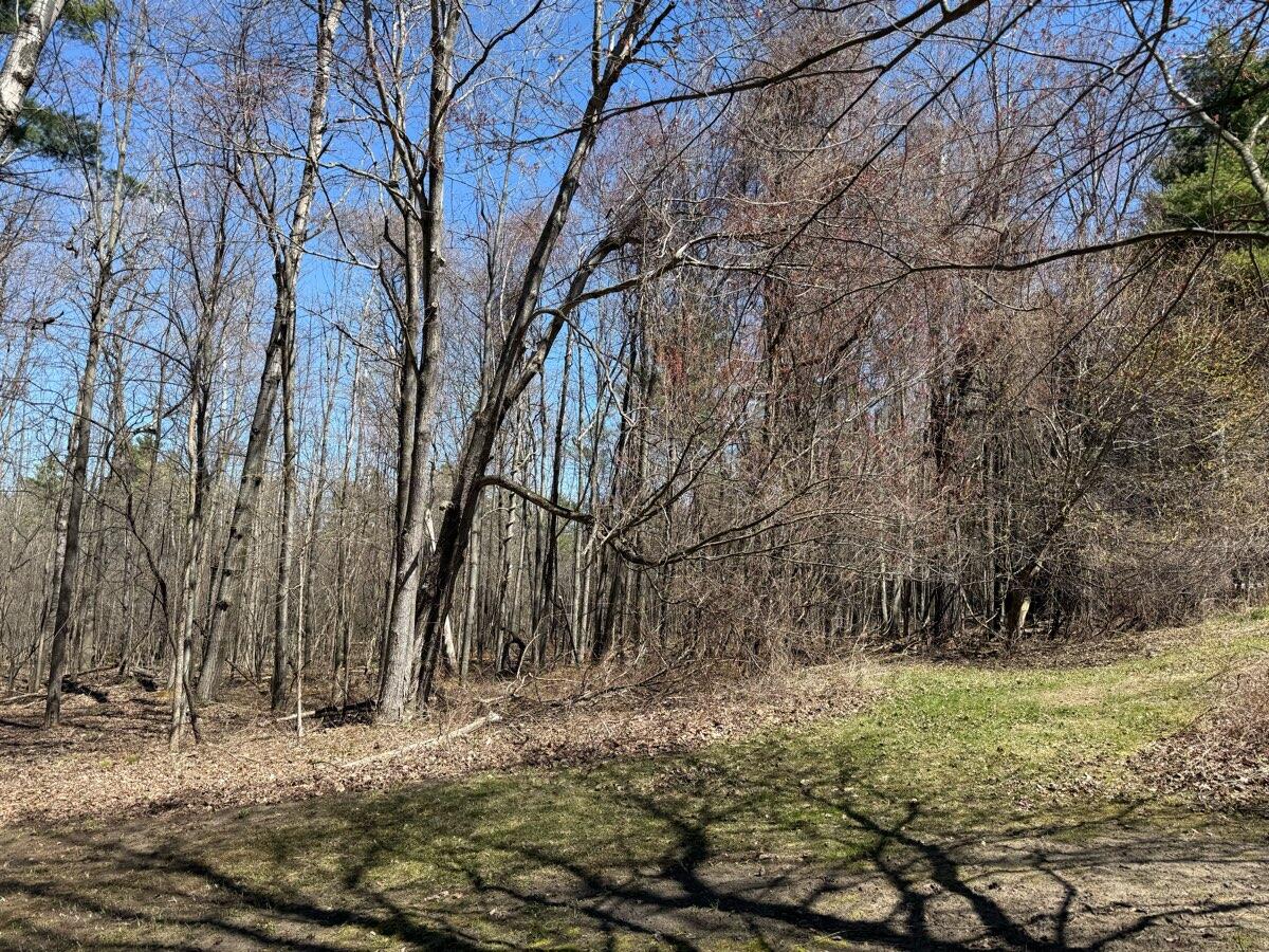 108 Prospect Road Keeseville, NY 12944 - Photo 55 of 63 1777306067217_0354759939_aa7c554b_v1