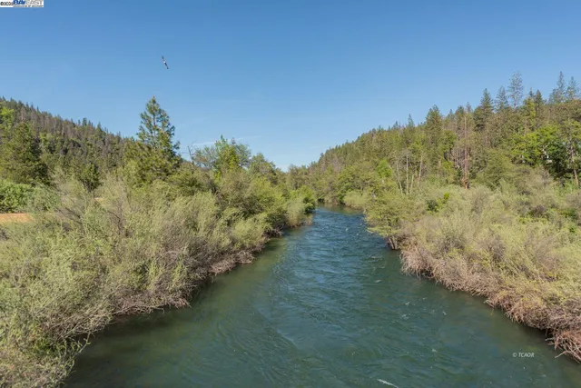 a view of a lake with tall trees