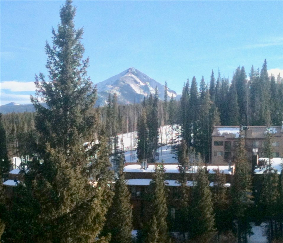 9825 Ryan Gulch Road, Unit 202 Silverthorne, CO 80498 - Photo 20 of 22 Gallery Image 20