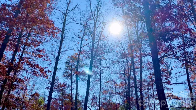 $685,000 | 288 Rebel Drive, Hot Springs, NC 28743