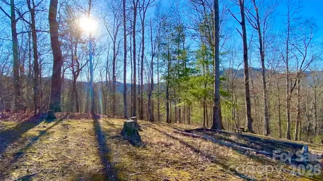 $685,000 | 288 Rebel Drive, Hot Springs, NC 28743