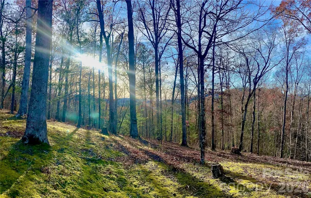 $685,000 | 288 Rebel Drive, Hot Springs, NC 28743