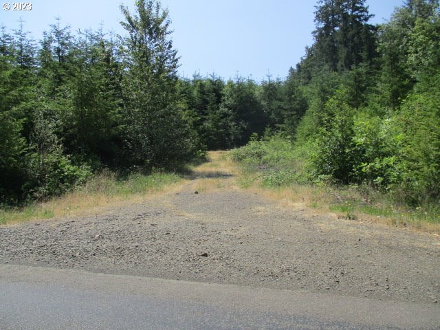 0 Mt Pleasant Road Lebanon, OR 97355 - Photo 1 of 5 a view of a dirt road with trees in the background