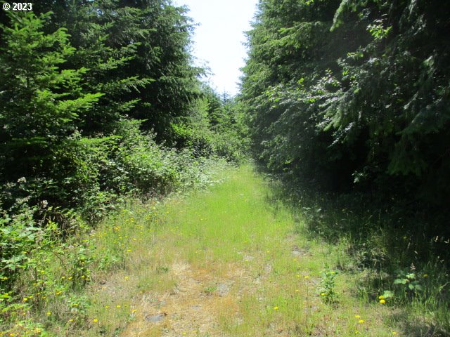 0 Mt Pleasant Road Lebanon, OR 97355 - Photo 2 of 5