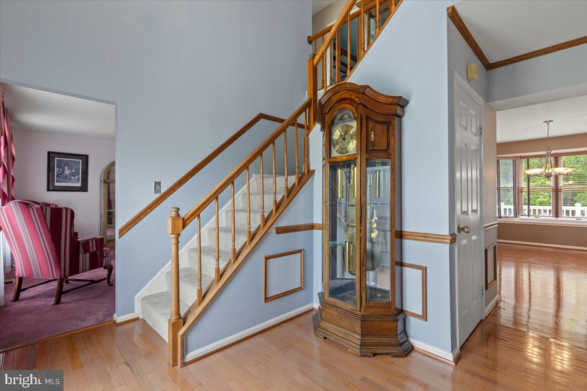 11871 Lexington Drive Dunkirk, MD 20754 - Photo 11 of 56 Foyer