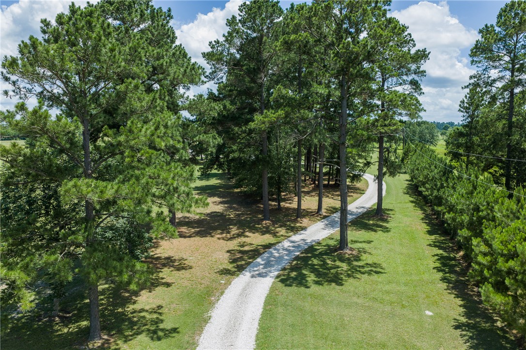 237 Morgan Road, Unit COUNTYROAD Bedias, TX 77831 - Photo 34 of 47