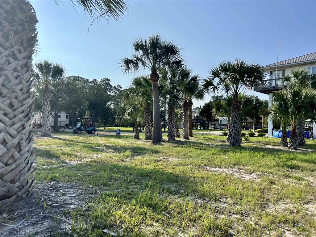 Xxxx Osprey Road Perry, FL 32348 - Photo 13 of 20 Gallery Image 13