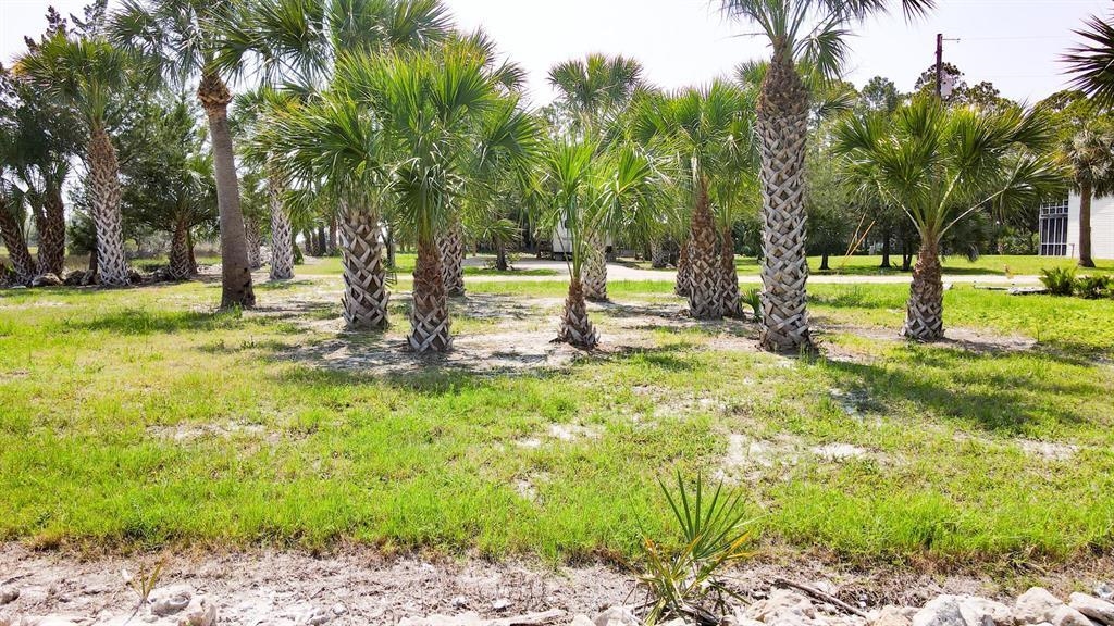 Xxxx Osprey Road Perry, FL 32348 - Photo 15 of 20 Gallery Image 15