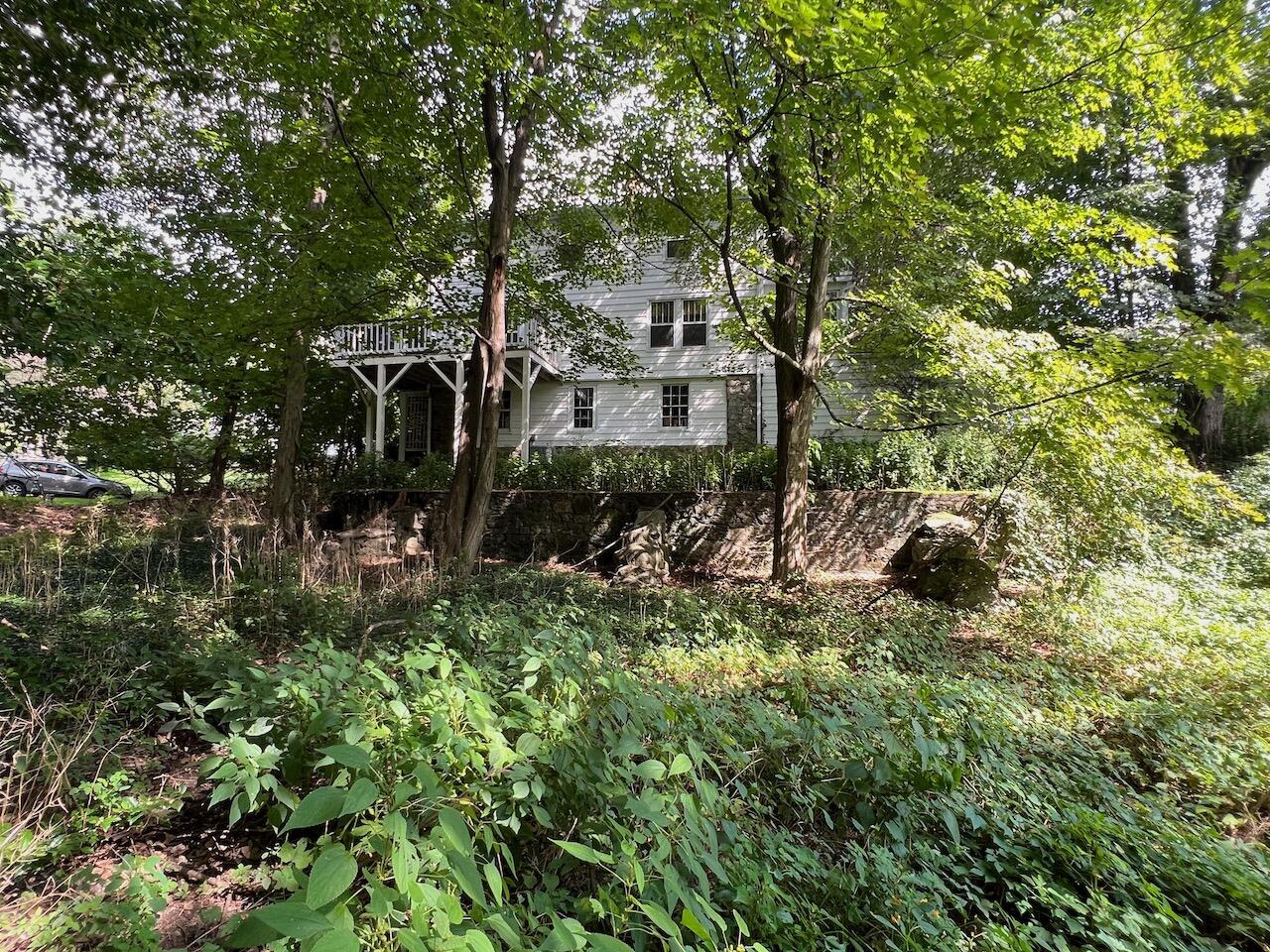 319 Rowayton Avenue Rowayton, CT 06853 - Photo 23 of 25 a view of a forest with a tree