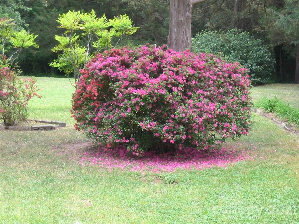 1280 Longview Road Rock Hill, SC 29732 - Photo 21 of 24 Gallery Image 21