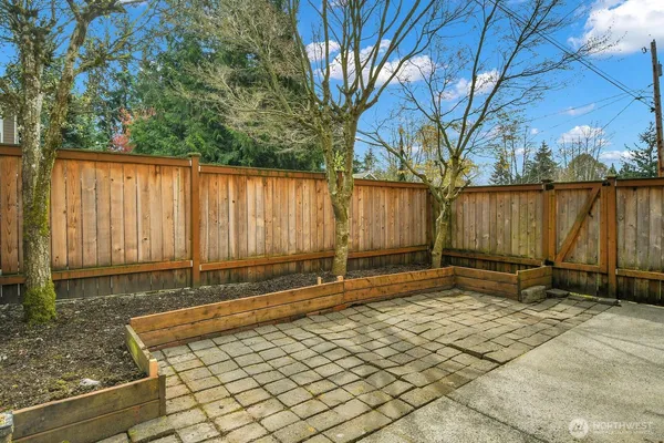 a backyard of a house with a large tree