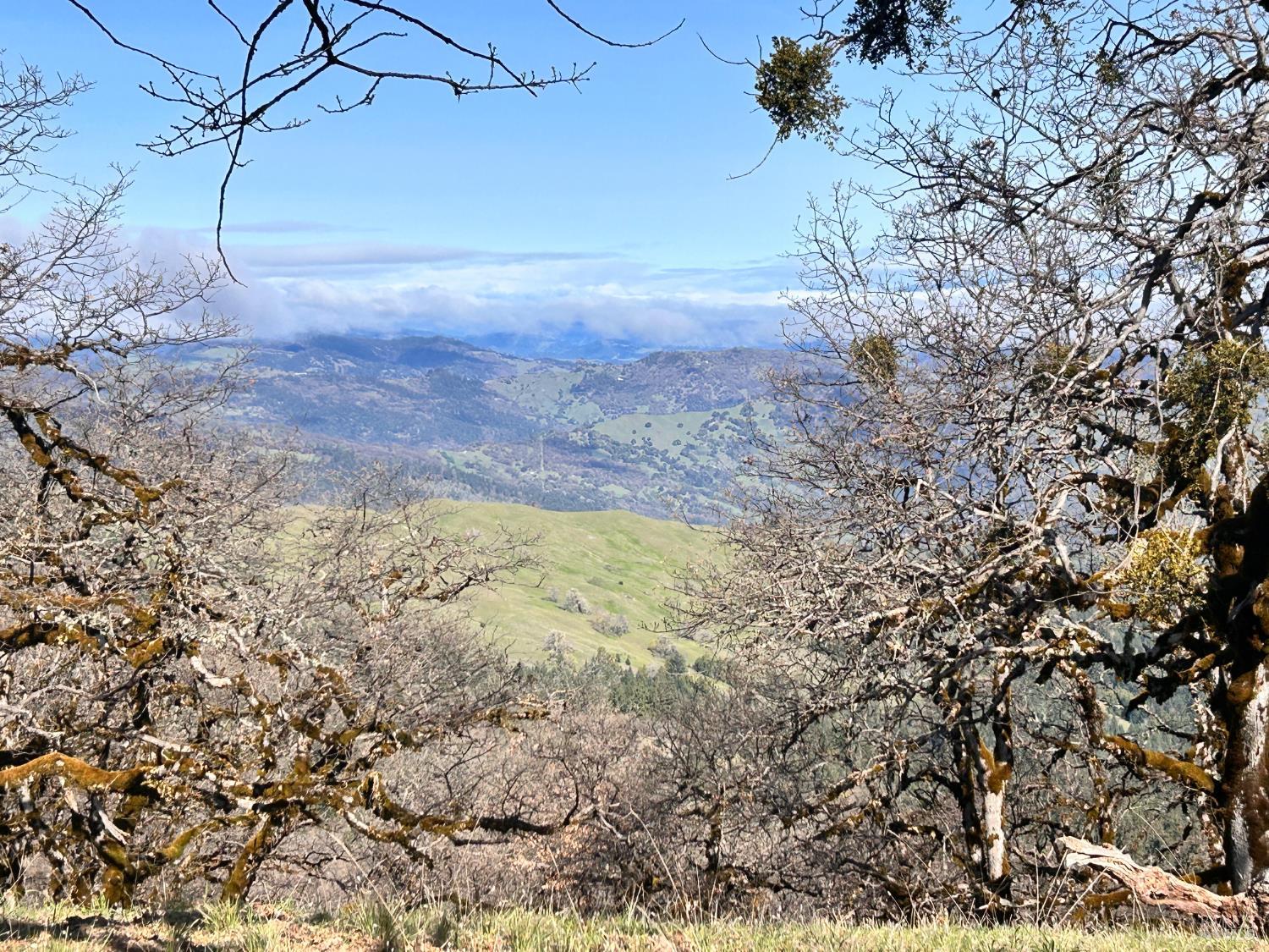 74000 Island Mountain Road Garberville, CA 95542 - Photo 19 of 36