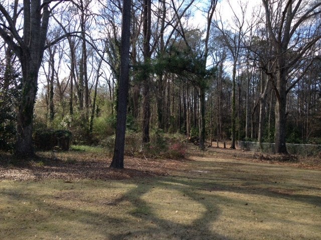 1504 Rocky Brook Road Opelika, AL 36801 - Photo 18 of 18 Gallery Image 18
