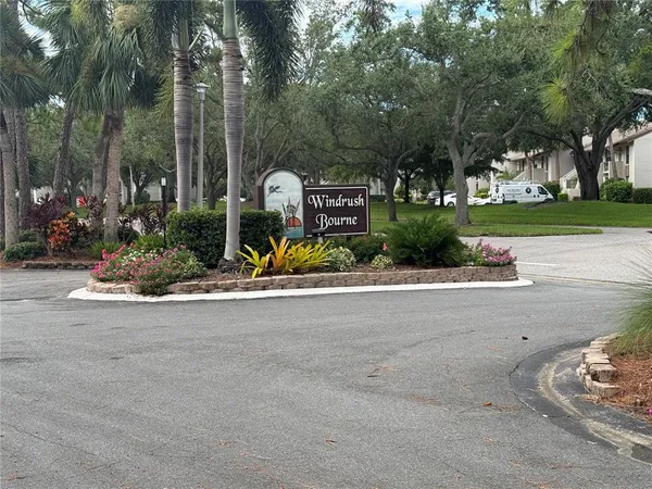 a view of a park with plants and trees