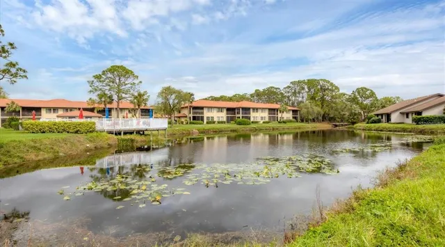a view of a lake with a city