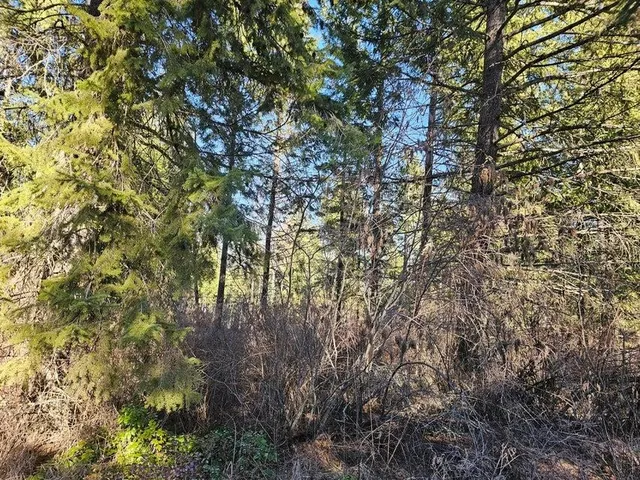 $84,000 | 3378 H Hill Loop Road, Kettle Falls, WA 99141