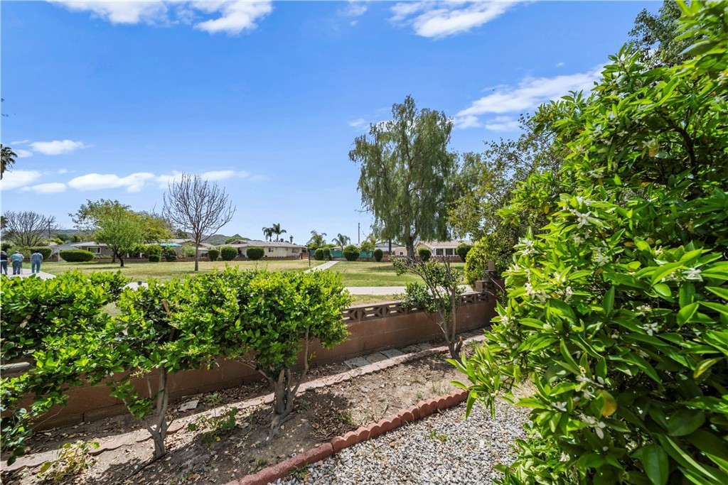 820 South Alessandro Street Hemet, CA 92543 - Photo 33 of 37 a view of a garden