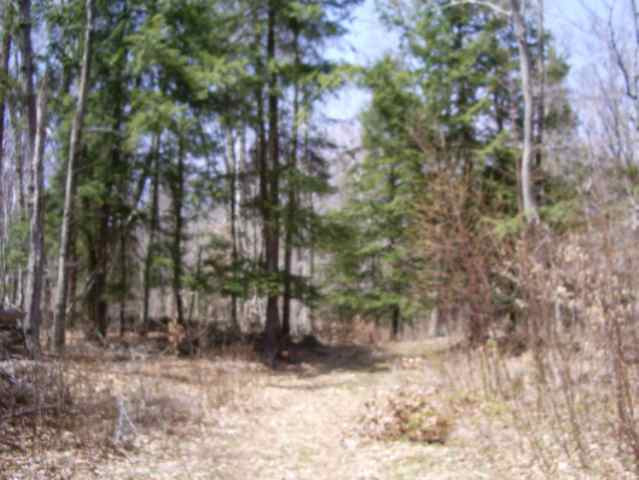 527 Furnaceville Road Seward, NY 12149 - Photo 2 of 3 Photo 2