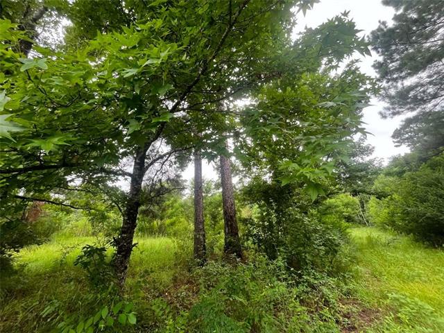 589 Tyler Cemetery Road Center Point, LA 71323 - Photo 1 of 5 Gallery Image 1