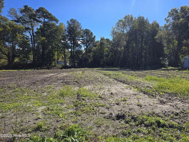 $310,000 | 1388 Old Folkstone Road, Sneads Ferry, NC 28460