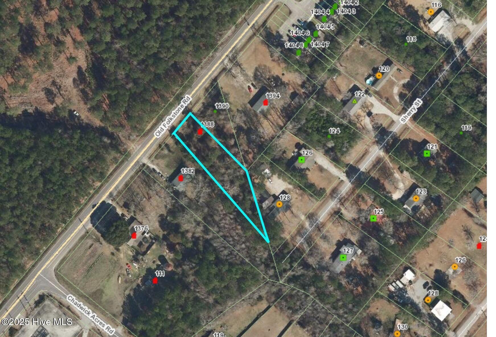 1388 Old Folkstone Road Sneads Ferry, NC 28460 - Photo 4 of 6 Aerial