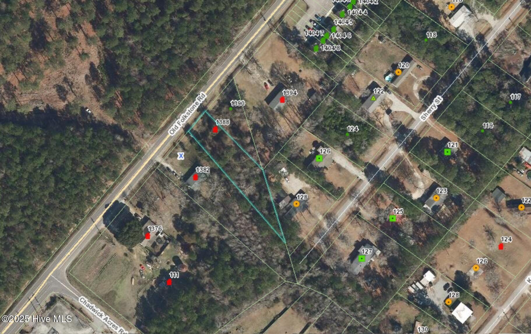 1388 Old Folkstone Road Sneads Ferry, NC 28460 - Photo 5 of 6 Flood Map