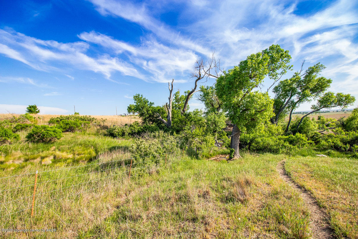 Williams Ranch Shamrock, TX 79079 - Photo 20 of 48 Williams_Ranch-11