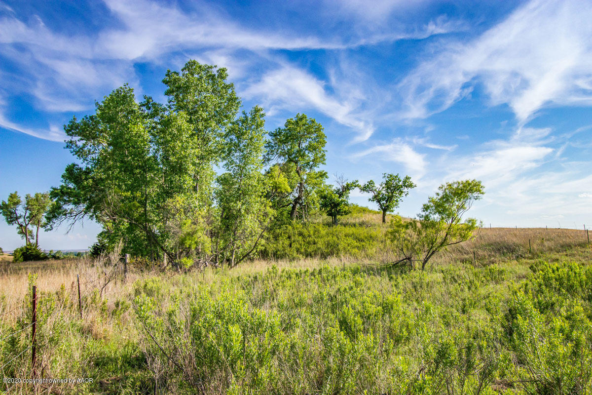 Williams Ranch Shamrock, TX 79079 - Photo 26 of 48 Williams_Ranch-17