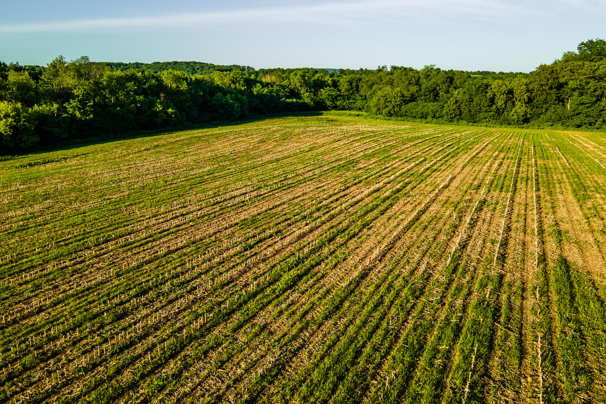 Lt0 Eli Valley Road Hillpoint, WI 53937 - Photo 15 of 29 Sauk-County-WI-17-Acres-Land-For-Sale-Su