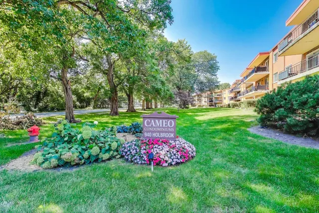 a view of a garden with flowers and trees