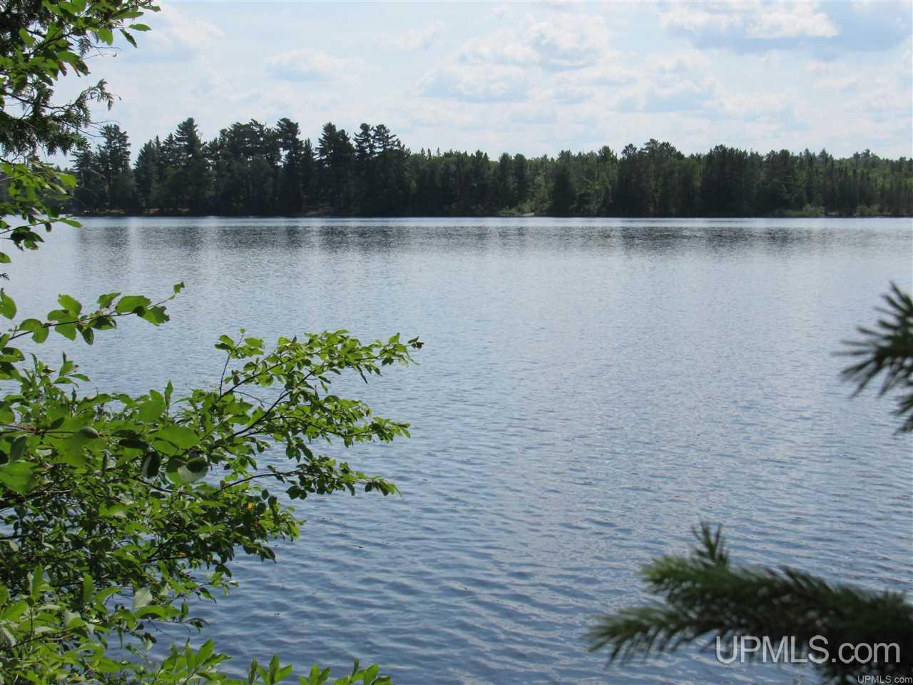 Tbd Berry Road Michigamme, MI 49861 - Photo 4 of 17