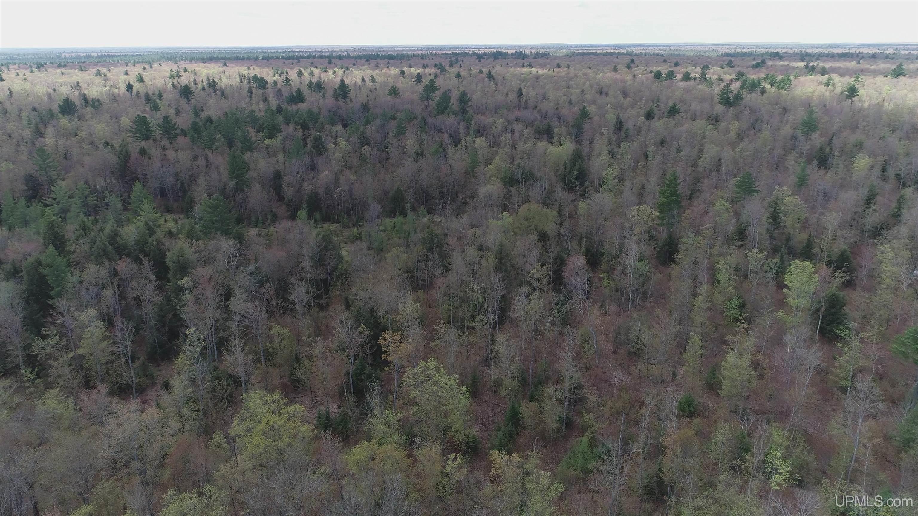450 Rd Seney Mi 49883 Road Seney, MI 49883 - Photo 29 of 33