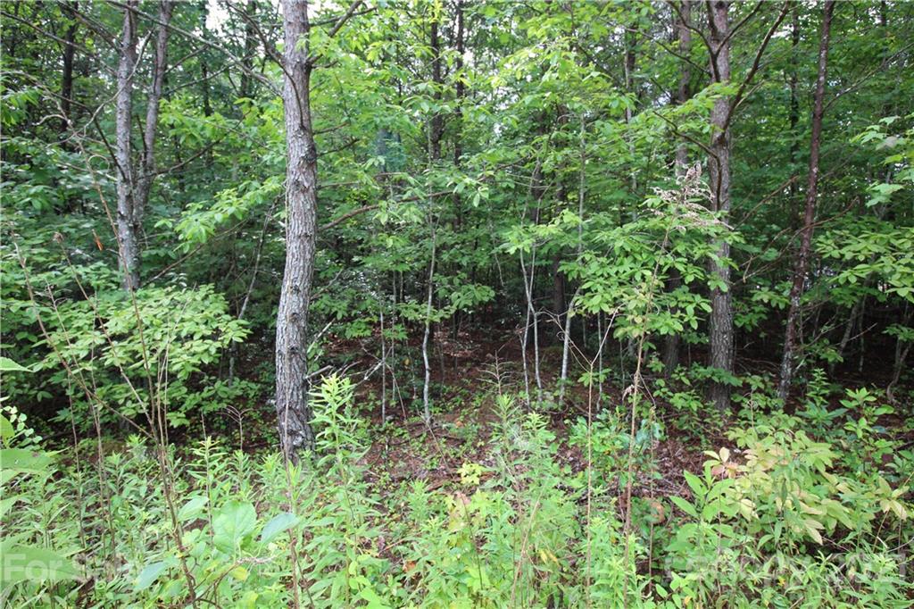 Lot 3 Ridge Way, Unit 3 Marion, NC 28752 - Photo 1 of 4 Gallery Image 1