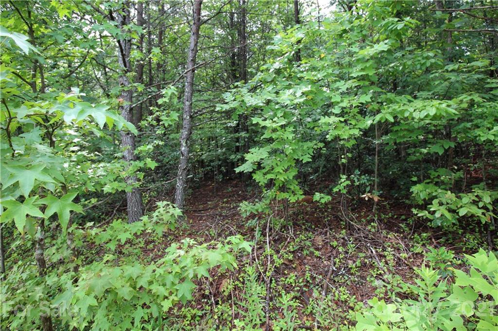 Lot 3 Ridge Way, Unit 3 Marion, NC 28752 - Photo 2 of 4 Gallery Image 2