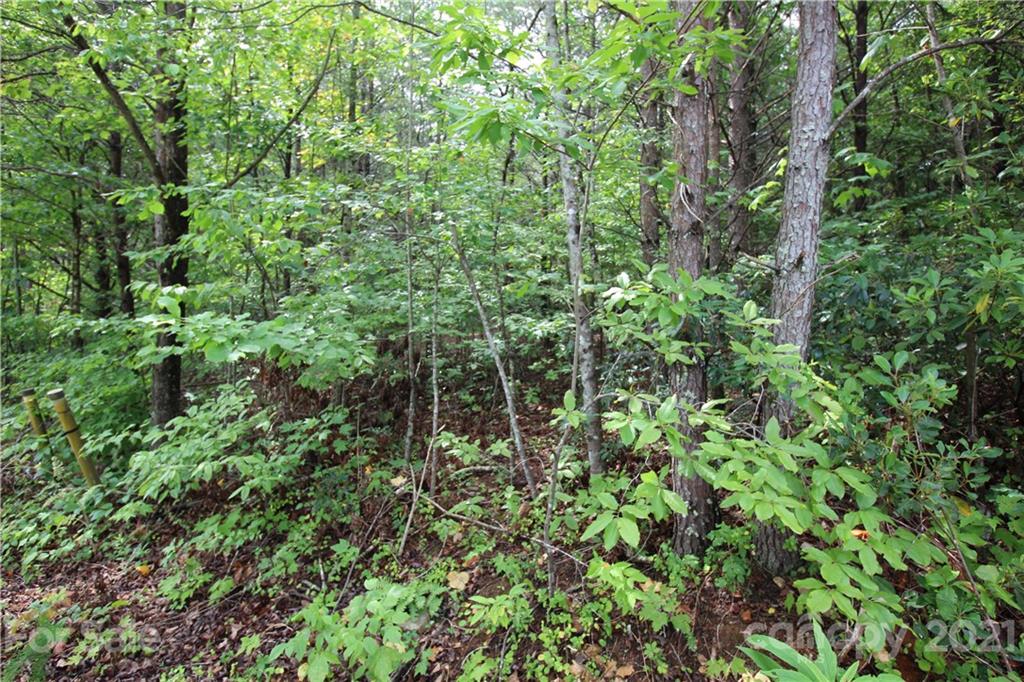 Lot 3 Ridge Way, Unit 3 Marion, NC 28752 - Photo 3 of 4 Gallery Image 3