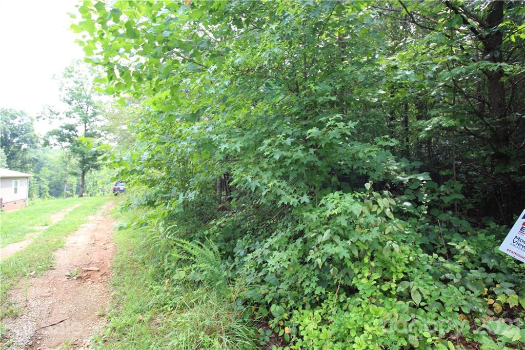 Lot 3 Ridge Way, Unit 3 Marion, NC 28752 - Photo 4 of 4 Gallery Image 4