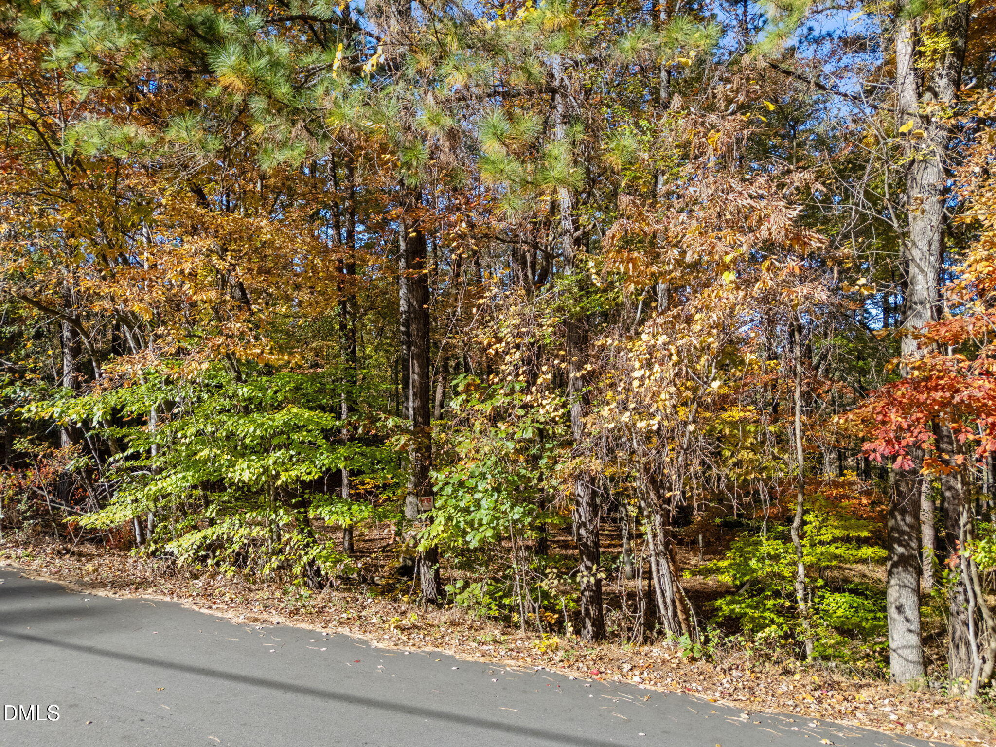 11408 Claybank Place Raleigh, NC 27613 - Photo 9 of 10 a view of a garden with a tree