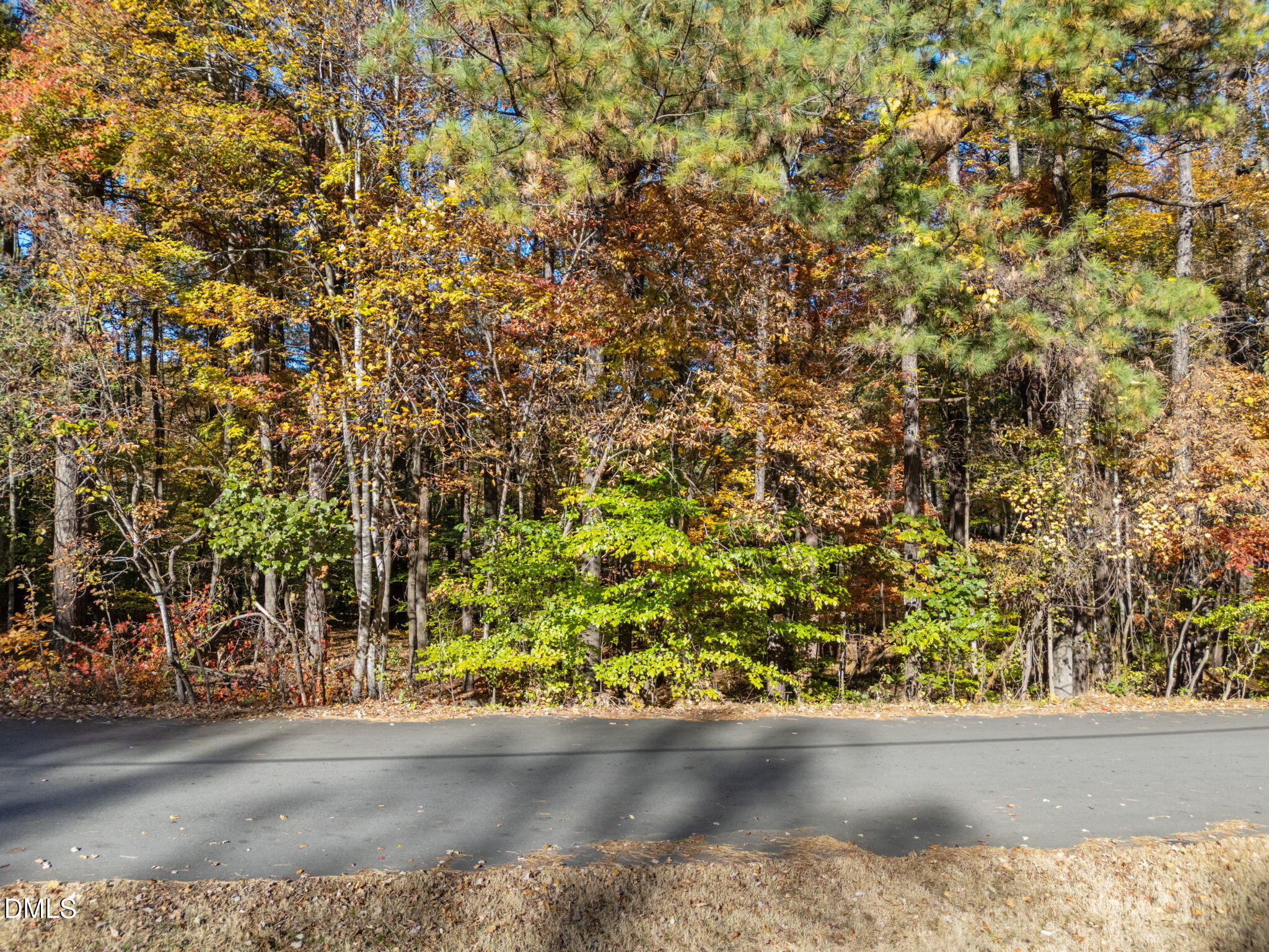 11408 Claybank Place Raleigh, NC 27613 - Photo 10 of 10 front view of a house with a yard