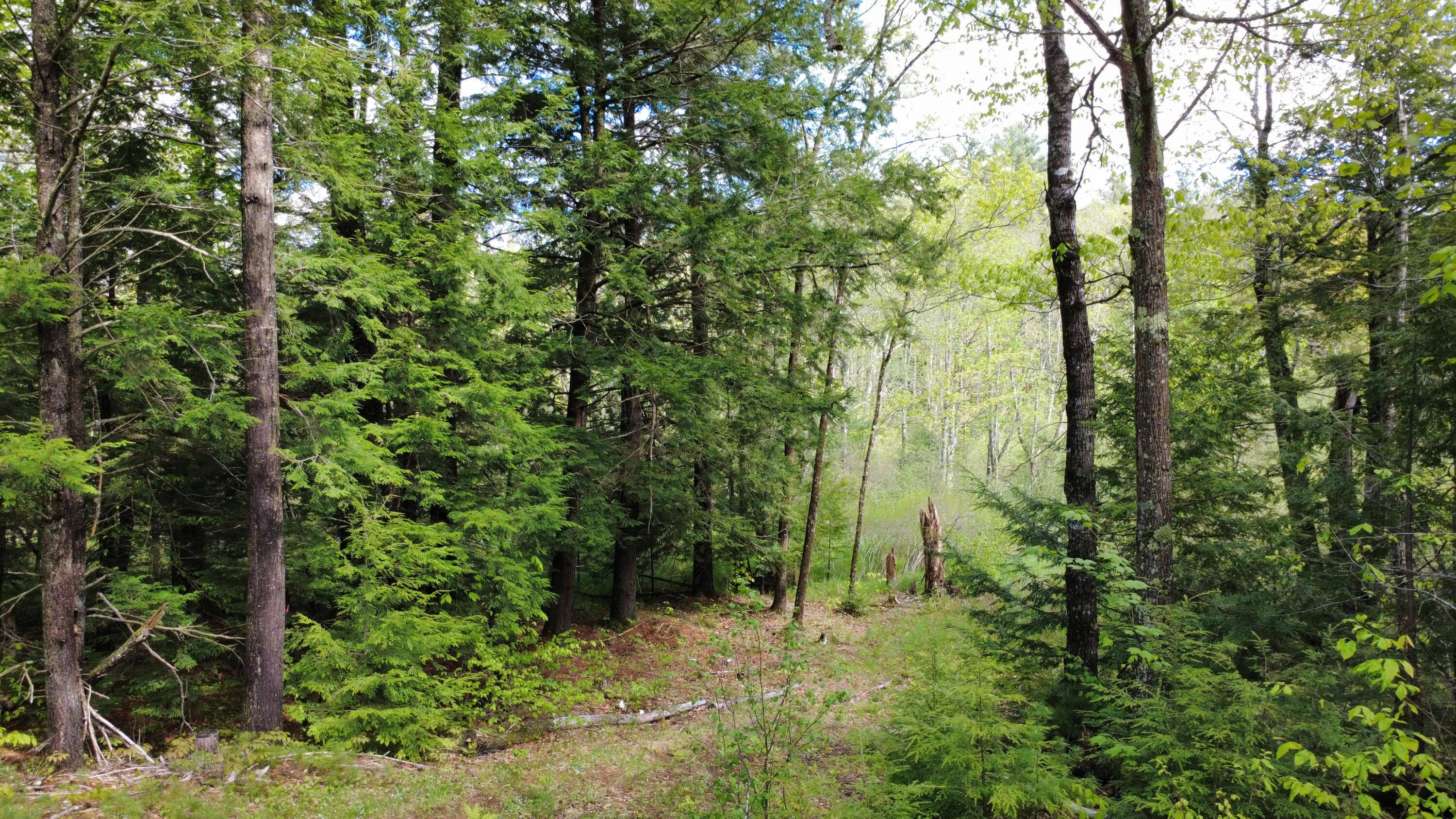 41 Fishtown Road Liberty, ME 04949 - Photo 10 of 18 1000031411
