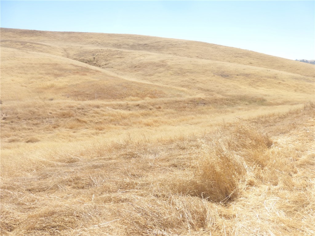 0 Douglas Road San Miguel, CA 93451 - Photo 42 of 75 Gallery Image 42