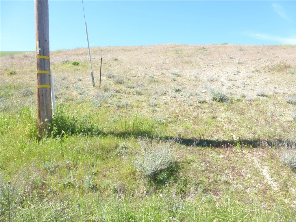 0 Douglas Road San Miguel, CA 93451 - Photo 33 of 44